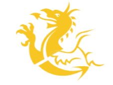Cardiff dragon
