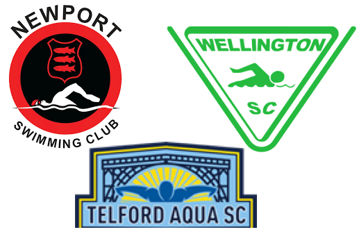 Newport TASC Wellington logo