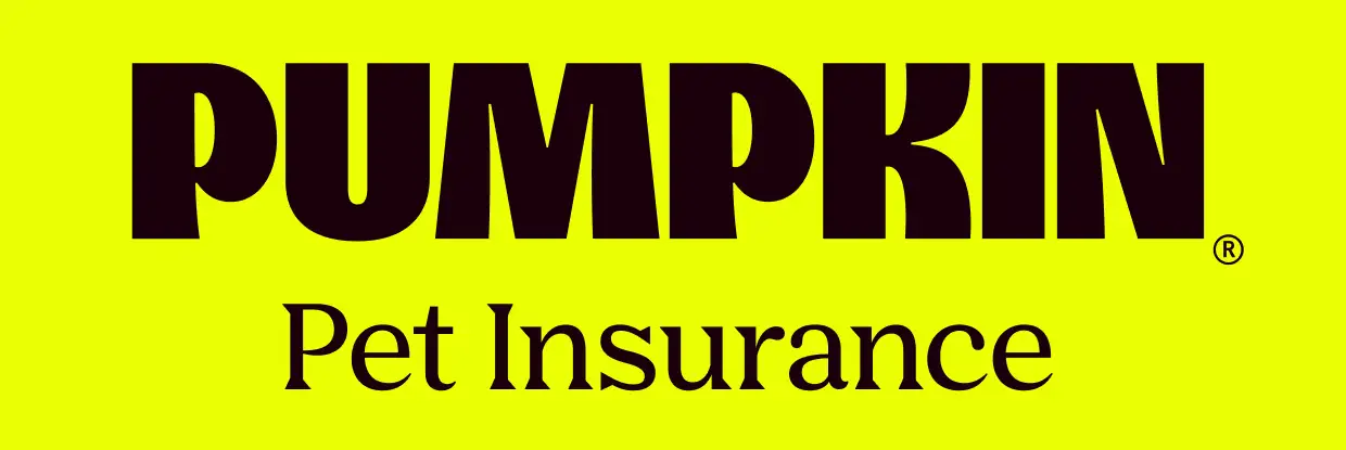 The updated Pumpkin Pet Insurance logo features the word 'PUMPKIN' styled in a black serif font against a highlighter yellow background.