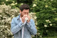 Birch Pollen Allergy Symptoms And Treatment Options LifeMD