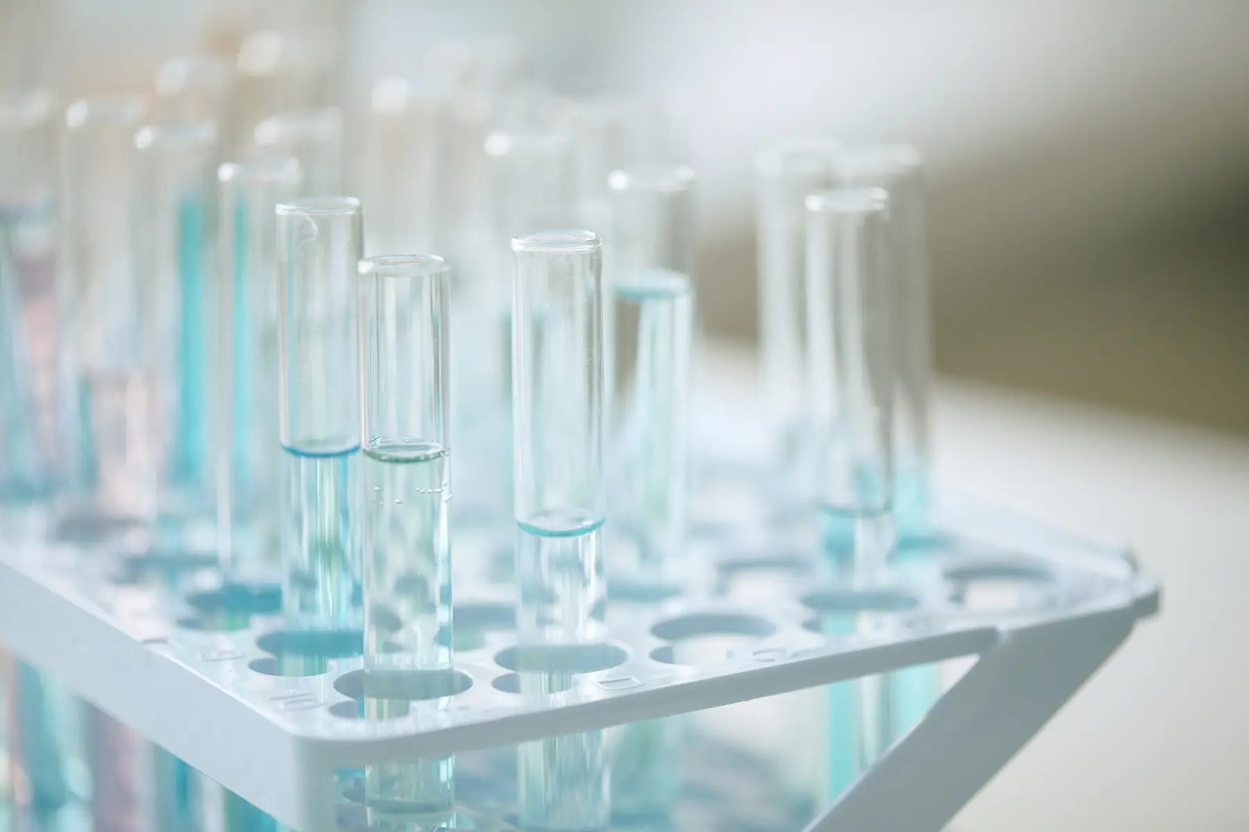 Rows of empty test tubes standing in rack in laboratory environment,