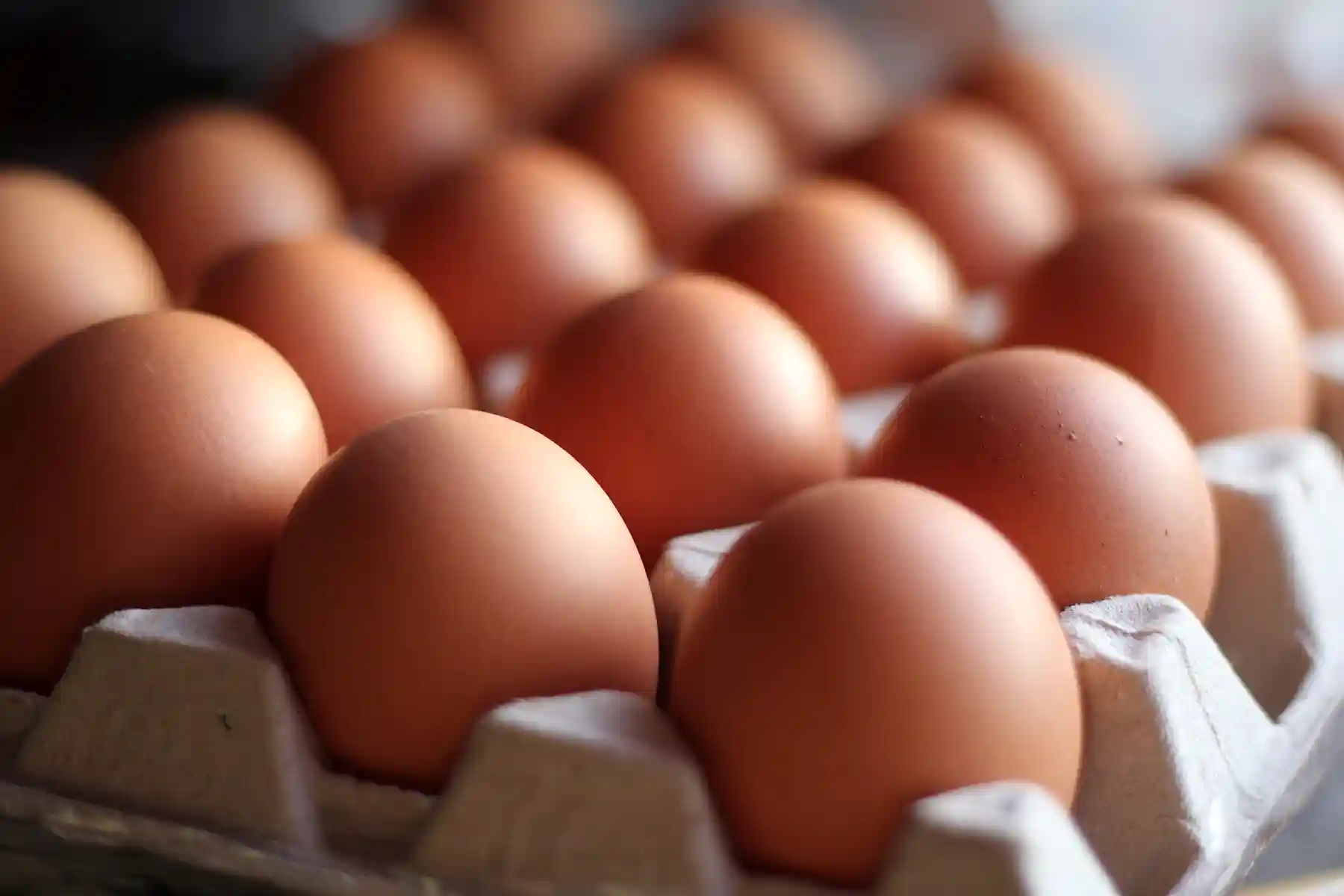 A tray of eggs