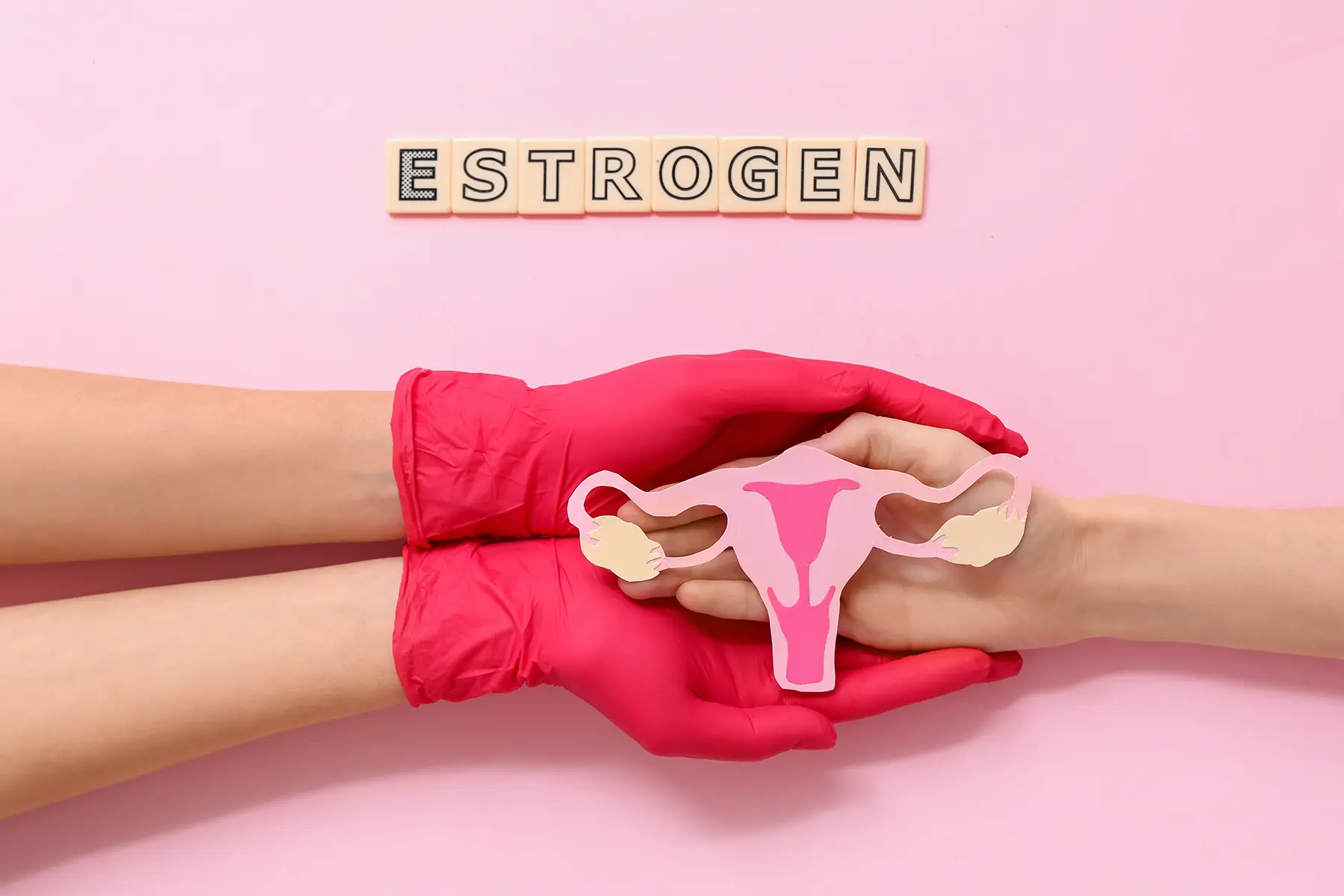 Pink latex gloves holding someone's hand who is holding a diagram of the uterus. 