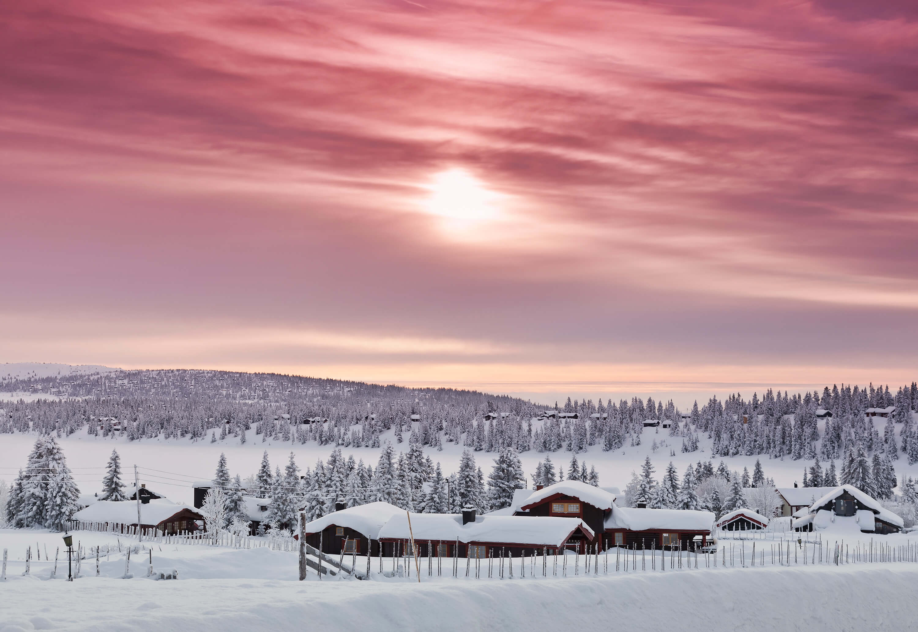 Vinterbilde fra Sjusjøen. Foto