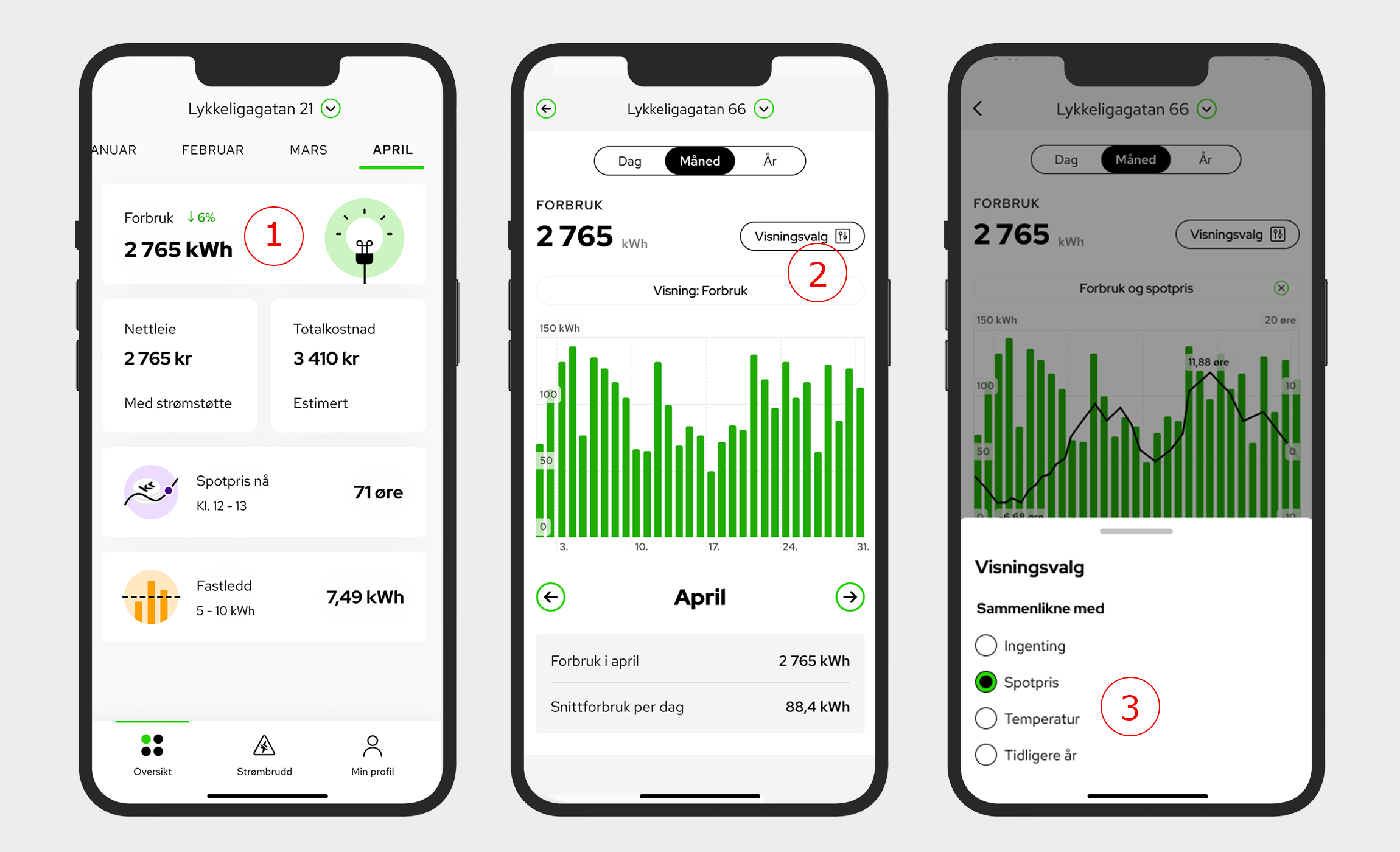 elvia app forbruk spotpris. Illustrasjon