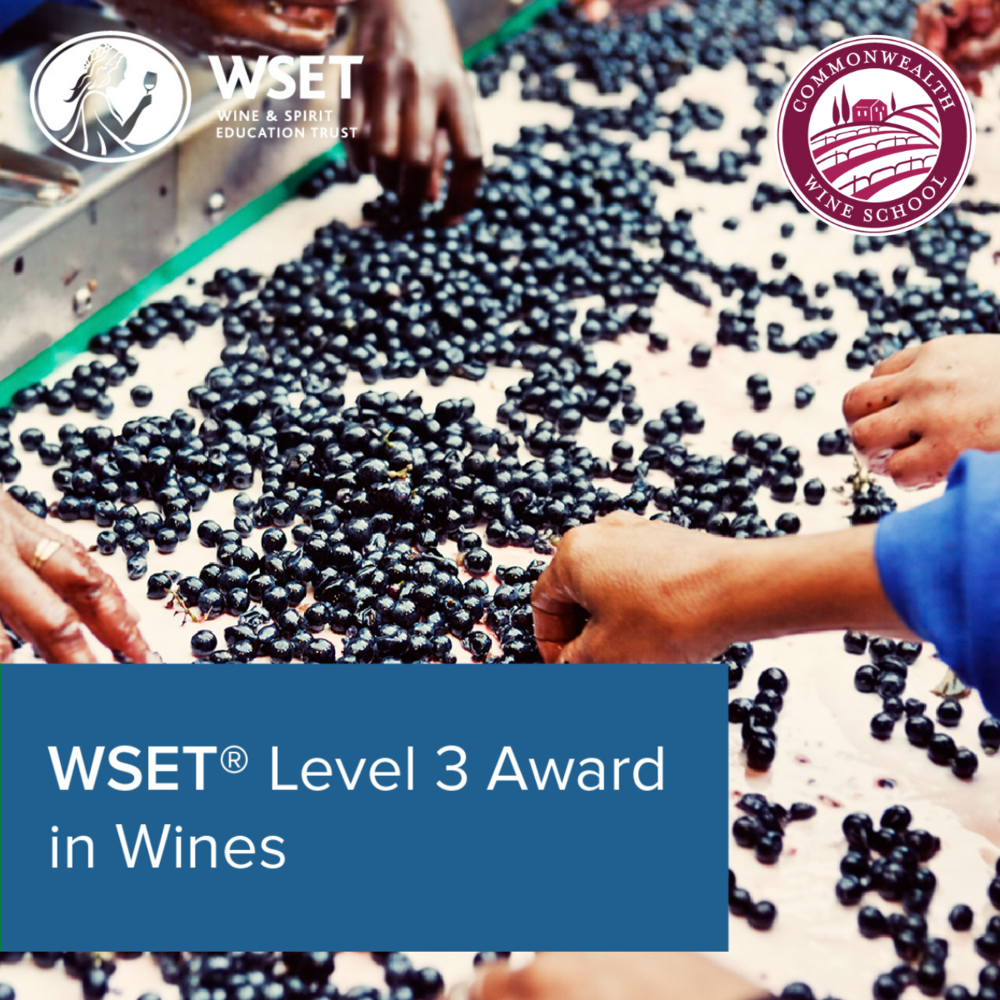 WSET Wine Courses Online