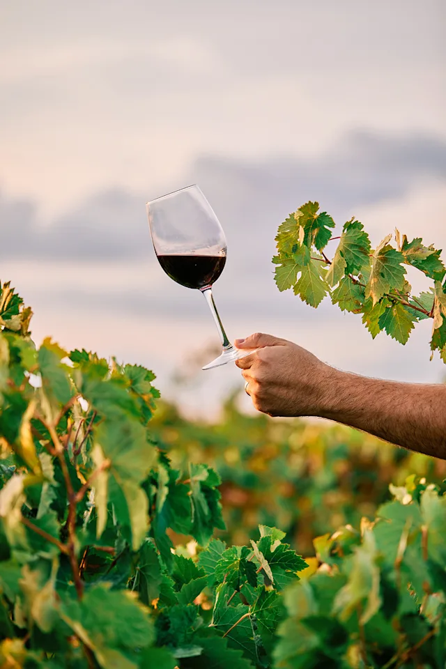 93+ Point Italian Wines