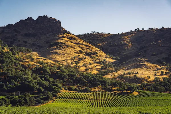 Napa Valley