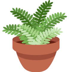 Potted plant