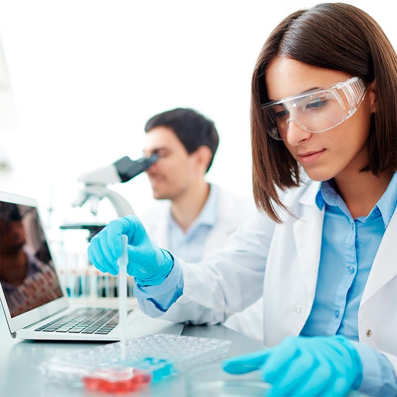 Head and Shoulders realiza estudios preclínicos para comprobar la funcionalidad del producto. Head and Shoulders realiza estudios preclínicos para comprobar la funcionalidad del producto.