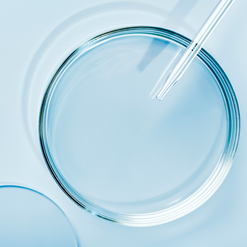 Head and Shoulders realiza pruebas in vitro en la primera etapa de desarrollo de un producto.