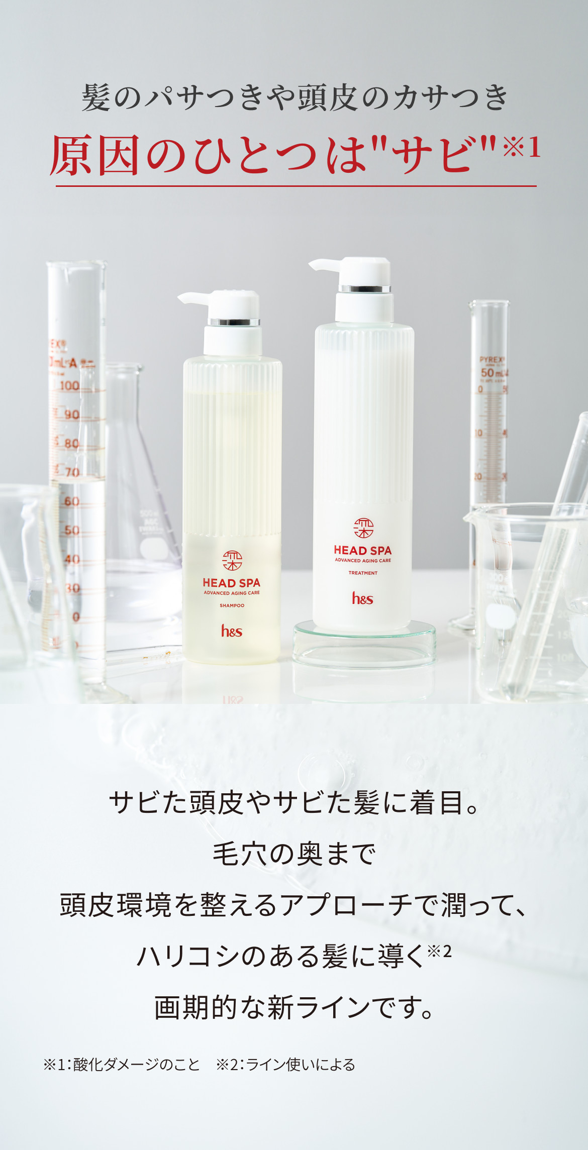頭皮・頭髪チェックキャンペーン| h&s (エイチ・アンド・エス) 公式