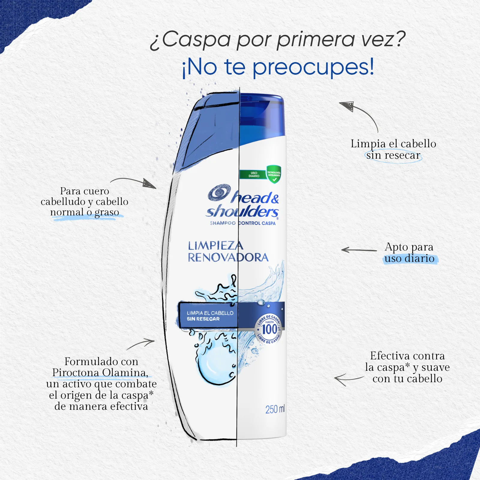 LimpiezaRenovadora H&S LimpiezaRenovadora H&S