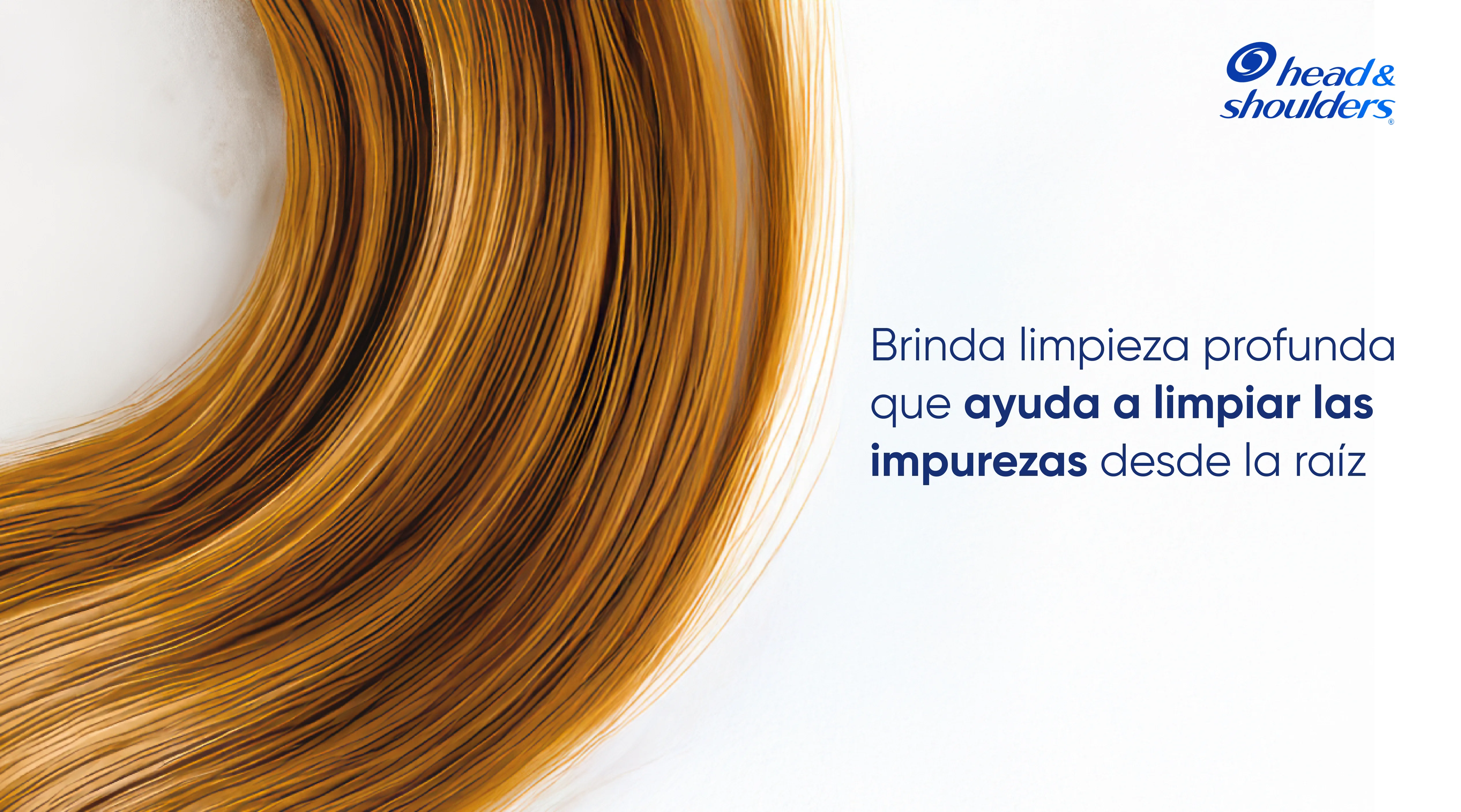 Primer plano de cabello castaño brillante sobre fondo azul, con texto "Brinda limpieza profunda que ayuda a limpiar las impurezas desde la raíz"