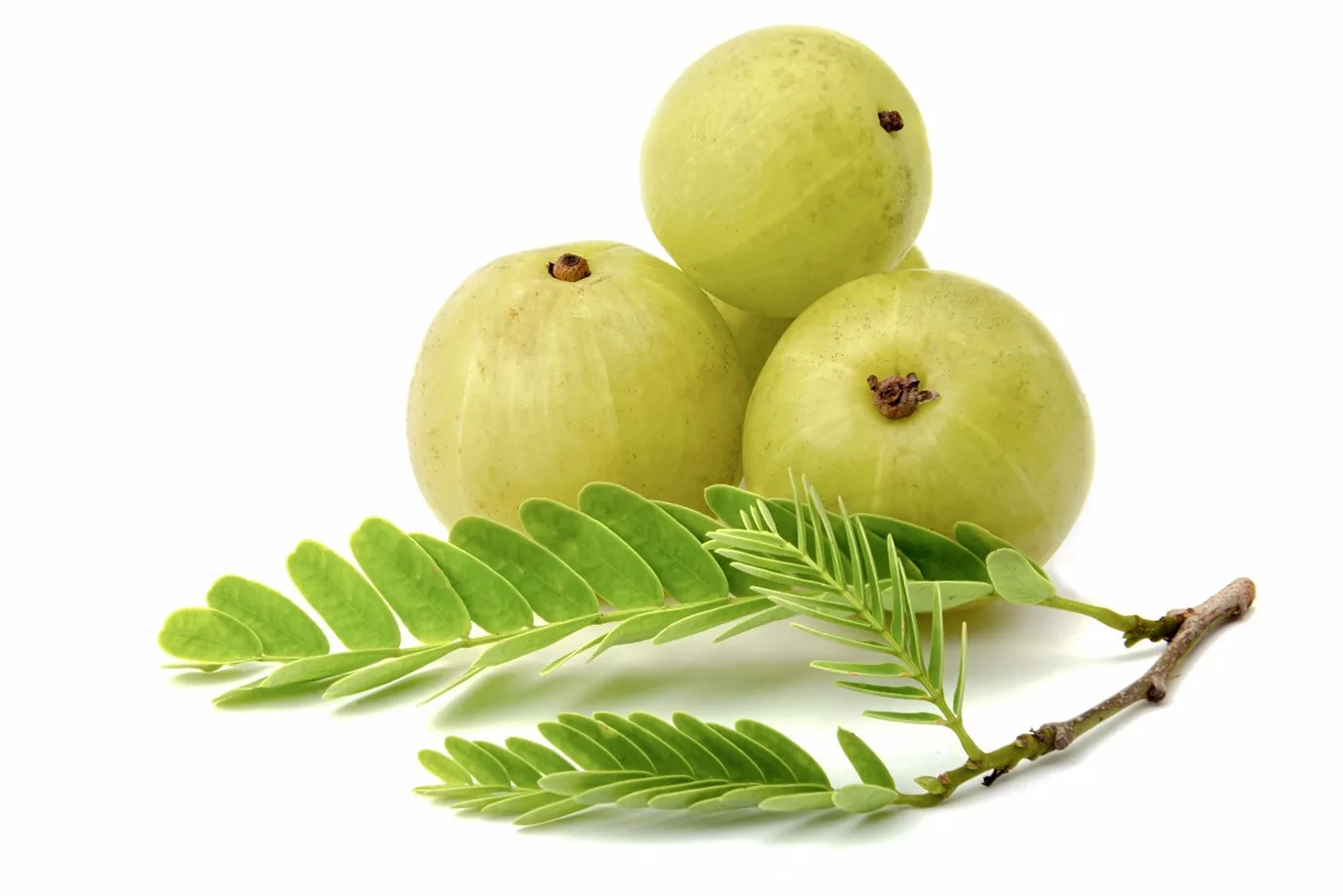 Amla for Dandruff