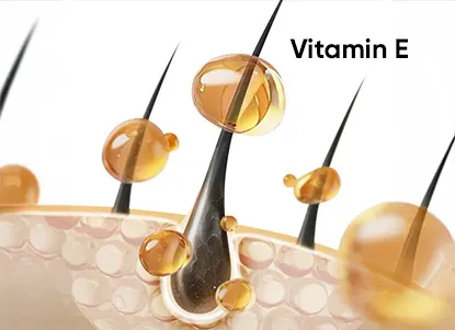 An illustration showing vitamin E supporting the scalp barrier and hair strands, highlighting moisture retention and dandruff relief.