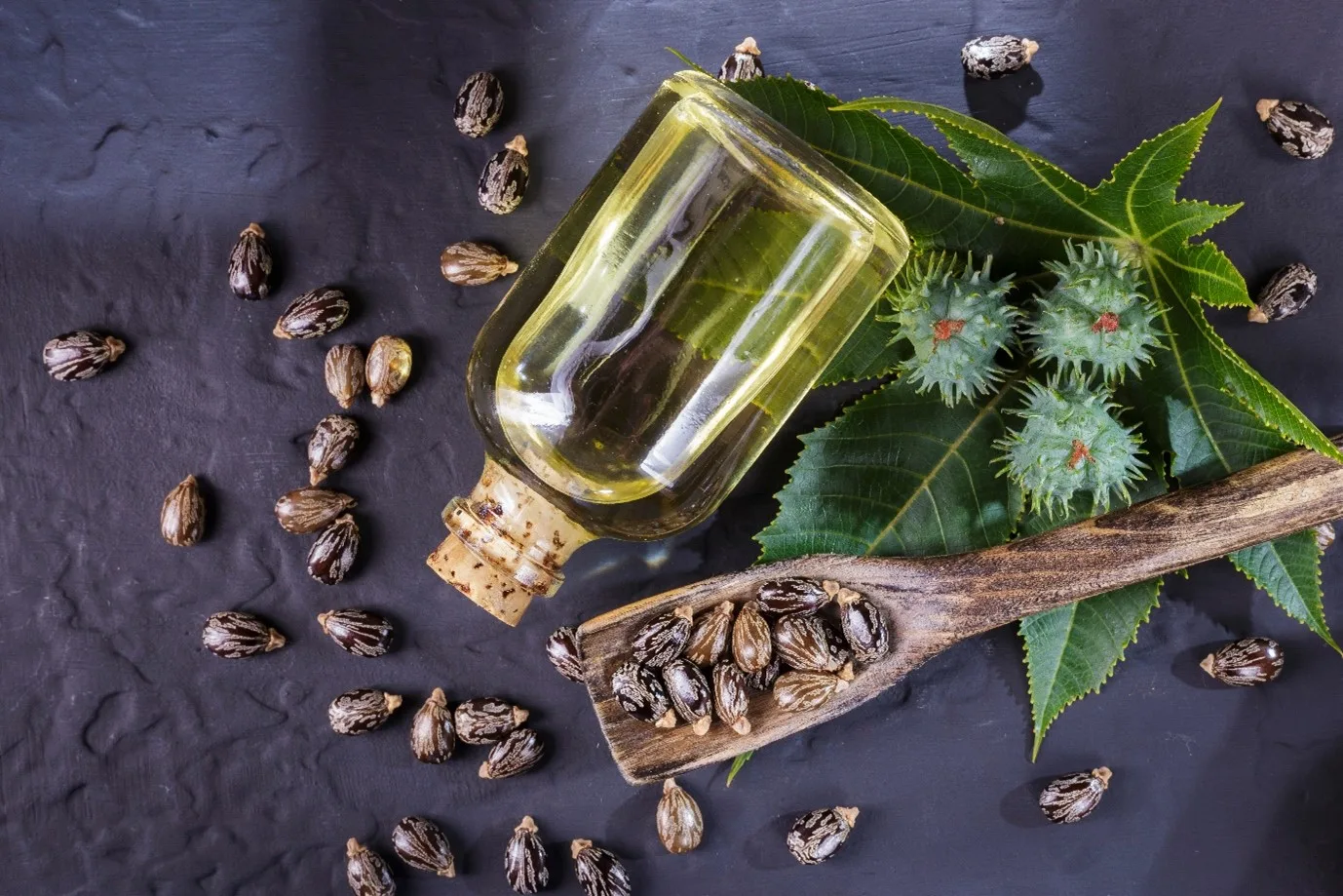 Castor oil for dandruff