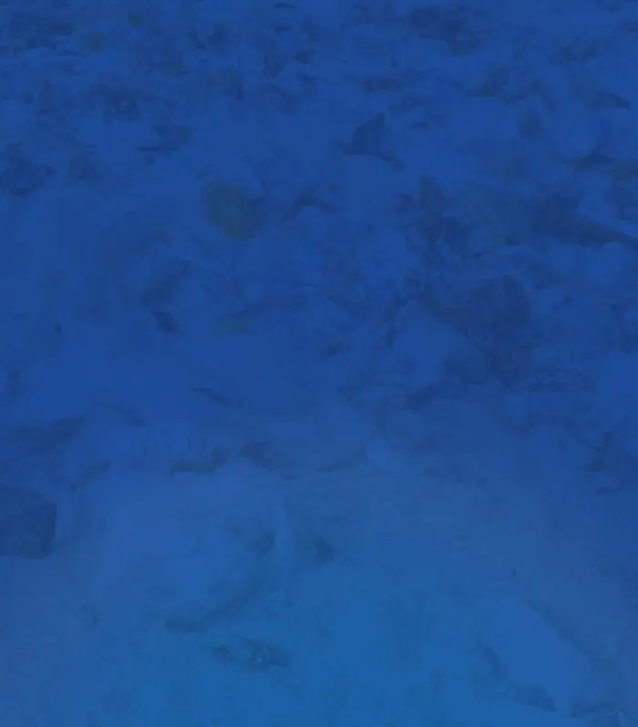 Blue background