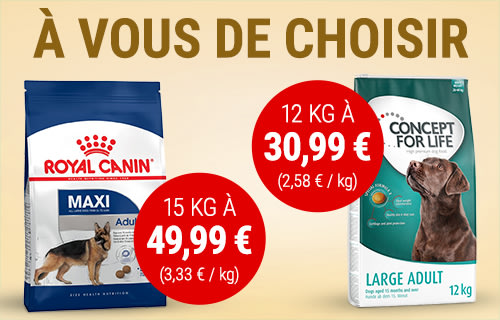 Royal Canin Croquettes Pour Grand Chien A Prix Discount Sur