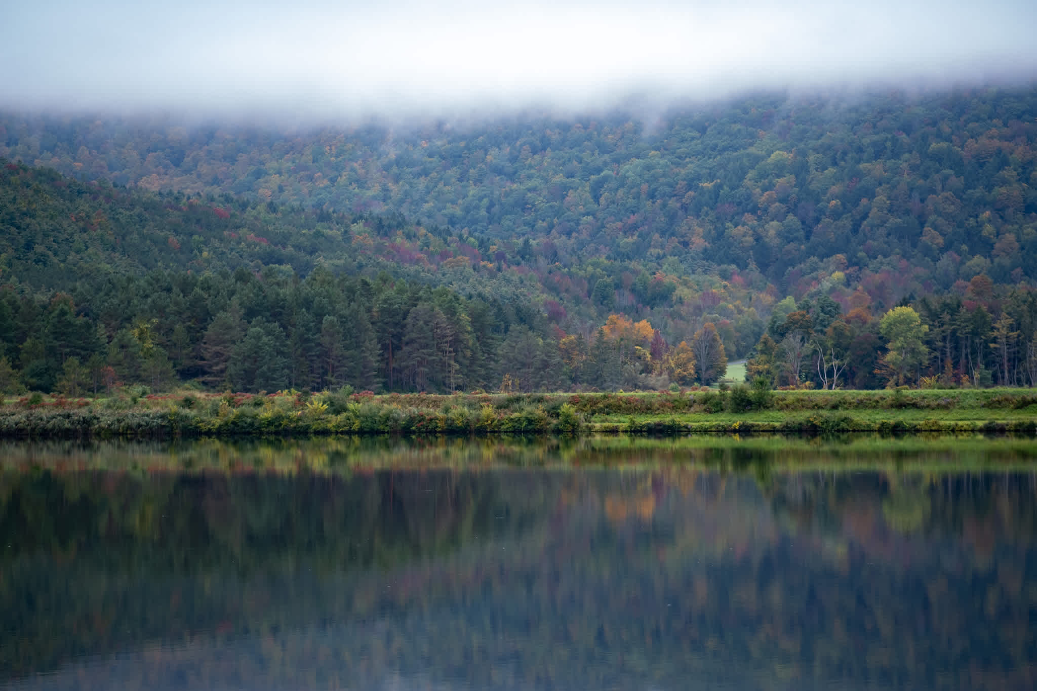 Fall foliage on a misty lake reflecting in the the water