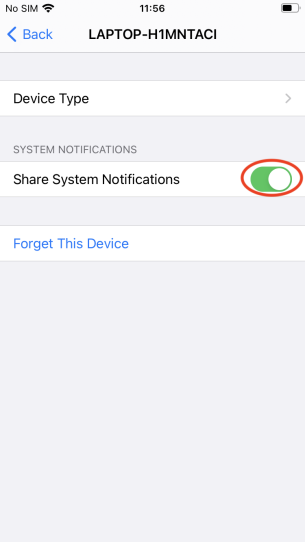 Screenshot showing how to enable access to notifications on iOS