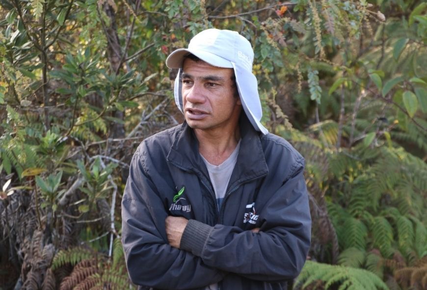 Cabecera Gilberto Gil