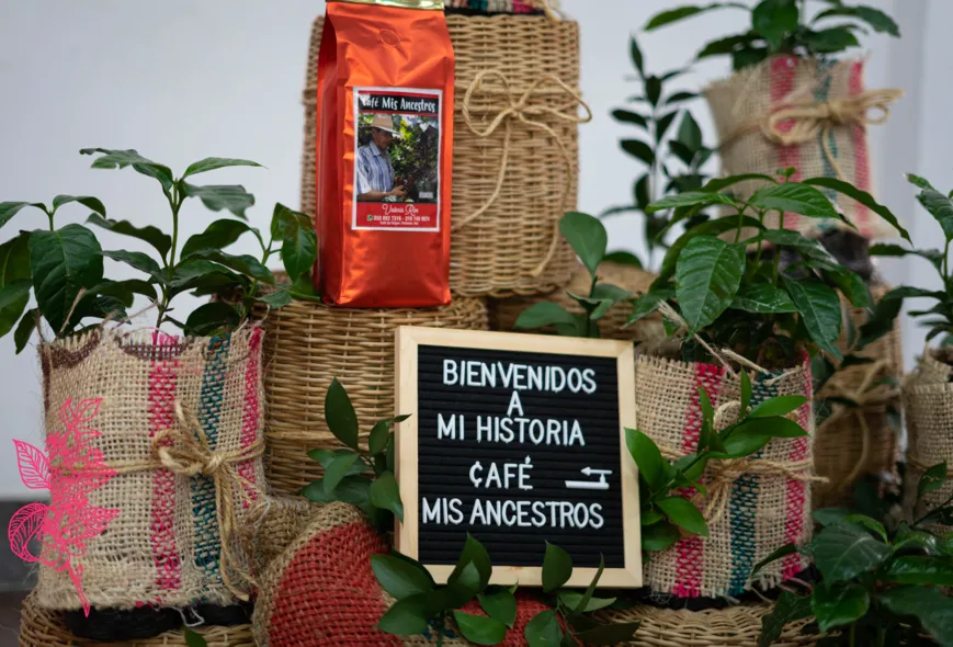 Entre plantas en costales y dos canastas de mimbre, se ve una bolsa de Café "Mis ancestros". Un tablero de letras de plástico dice: Bienvenidos a mi historia. Café Mis Ancestros