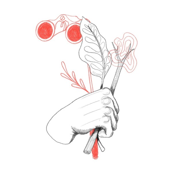 Ilustración por @donrepollo