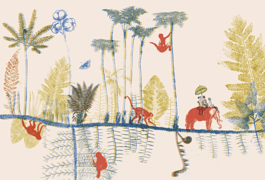 Ilustración de Verónica Cardona