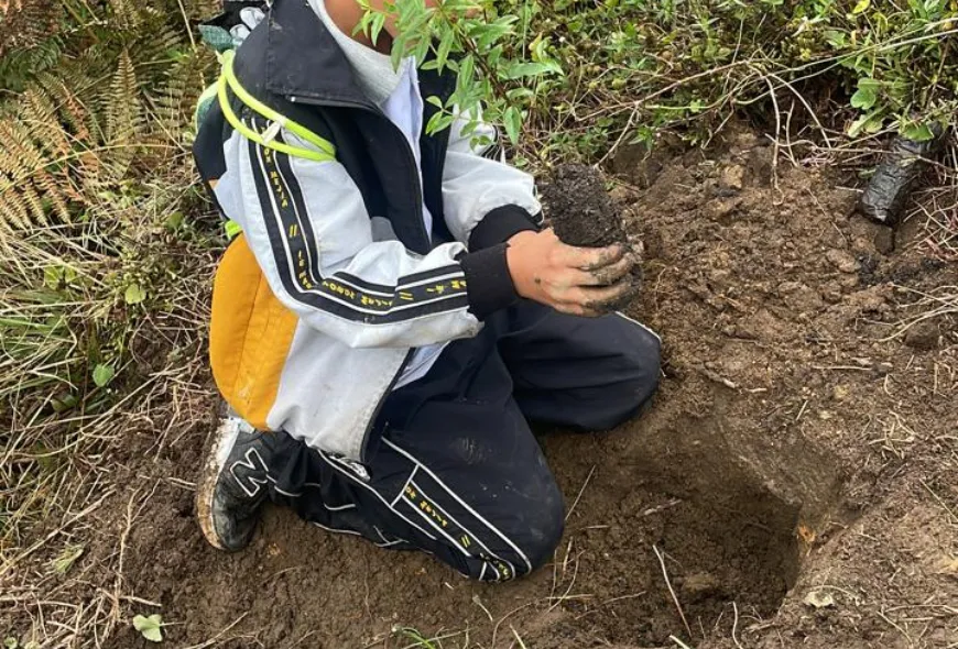 Niño sembrando un pequeño arbolito en un terreno abierto.