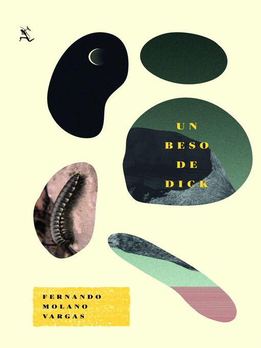 Portada libro Un beso de dick
