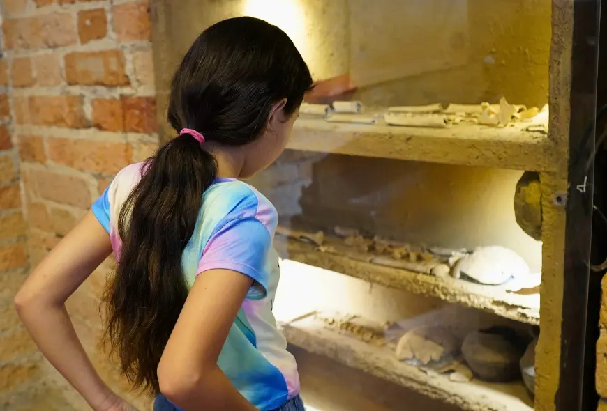 Una niña al frente de una vitrina en el Museo Cartama