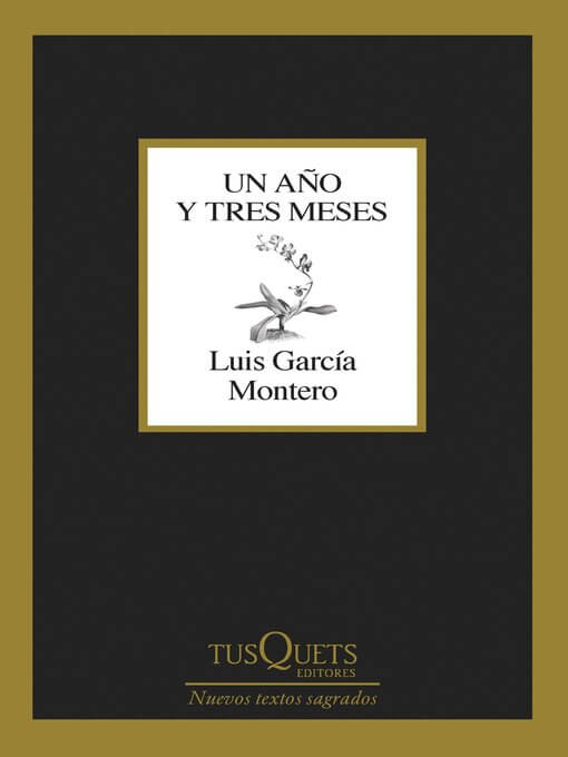 Portada libro Un año y tres meses