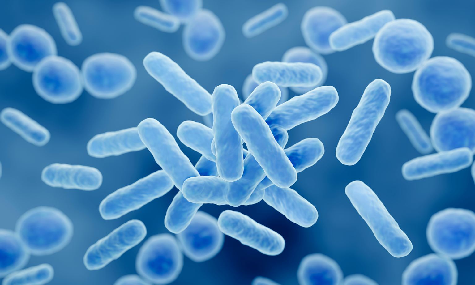 La farmacia del microbiota