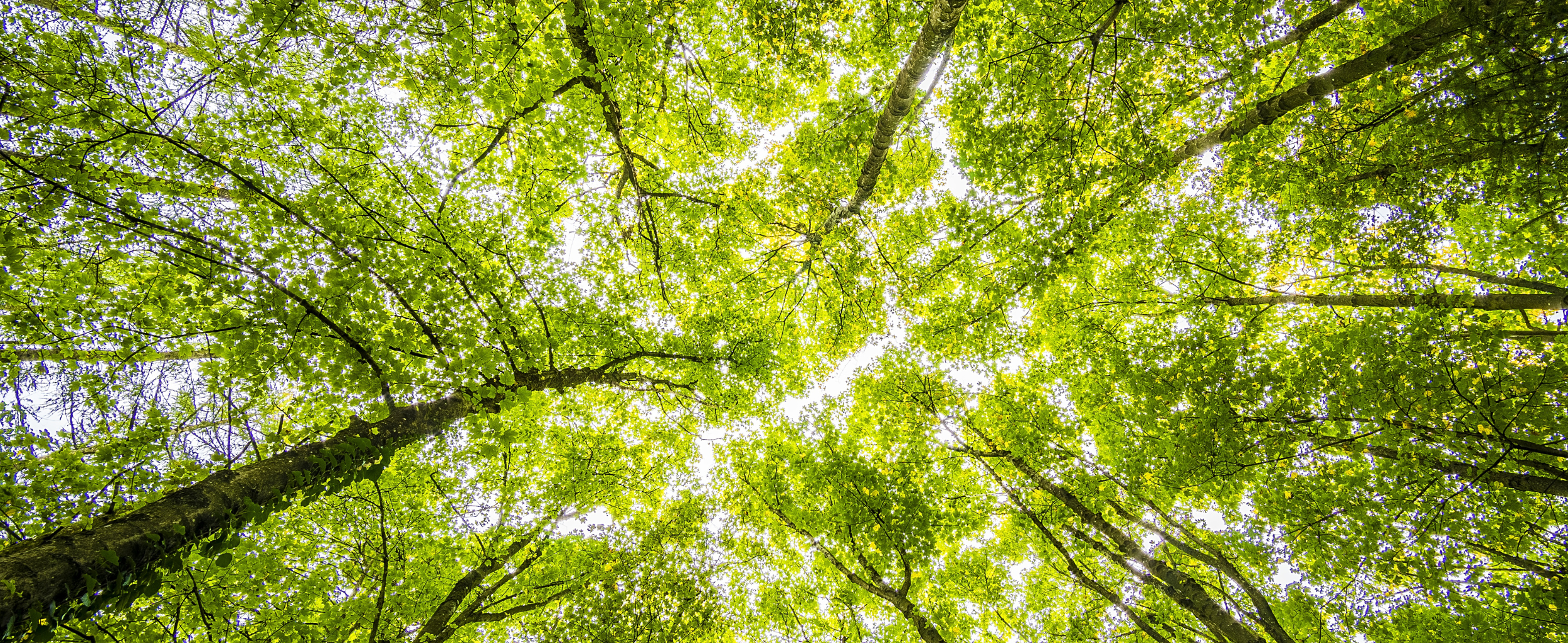 La prevenzione parte dal cuore