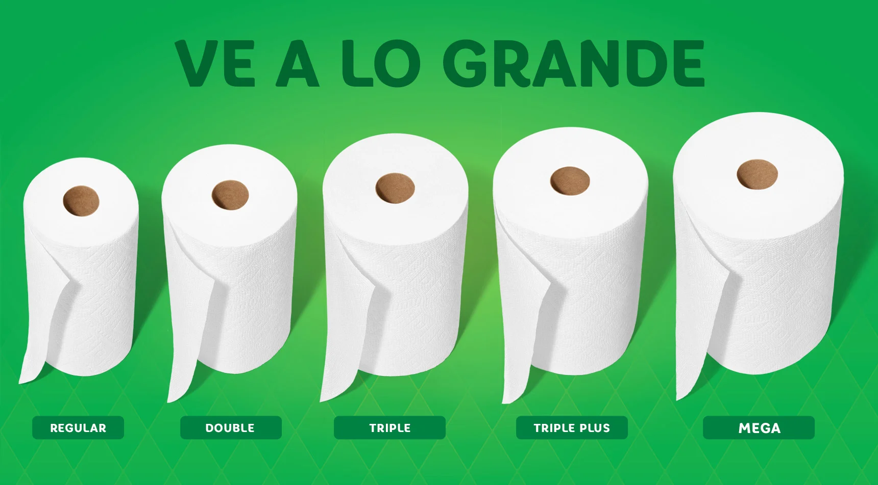 Gráfica comparativa mostrando nuestros tamaños de rollos, del más pequeño al más grande