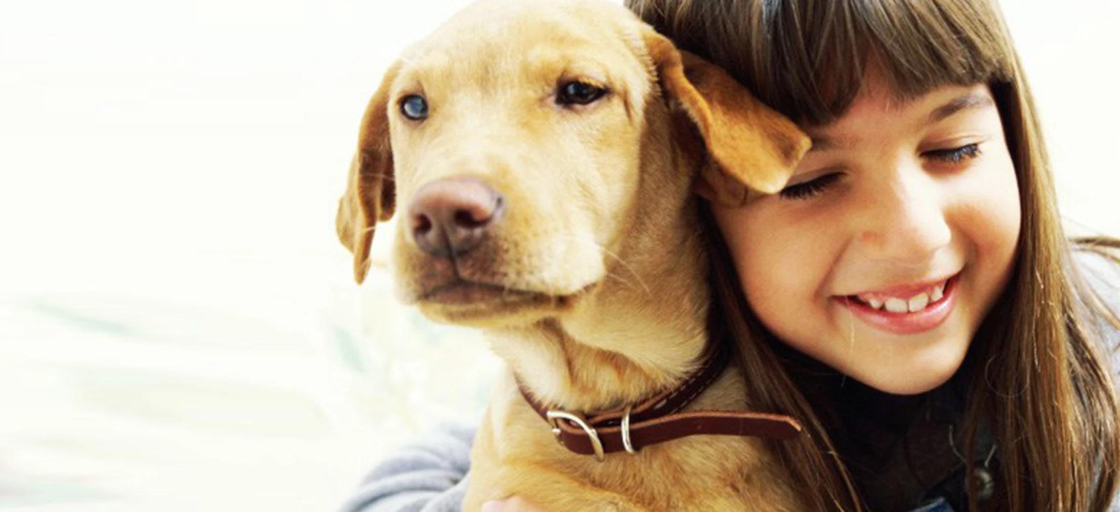 Young girl hugging a dog