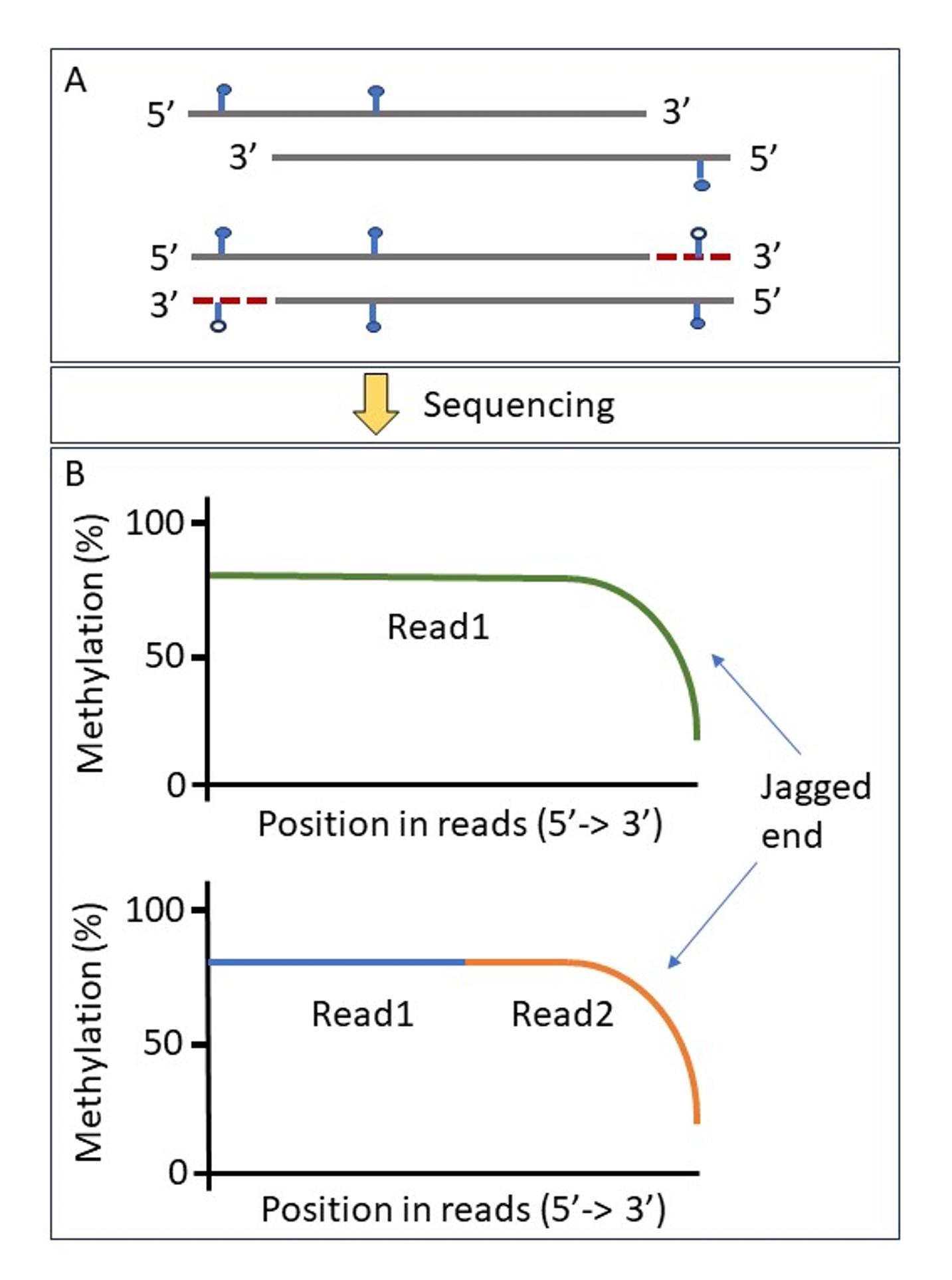 Figure 1 cfDNA knowhow