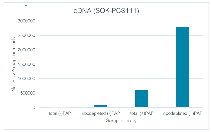 Figure 3b.  Number of mapped reads per species.  