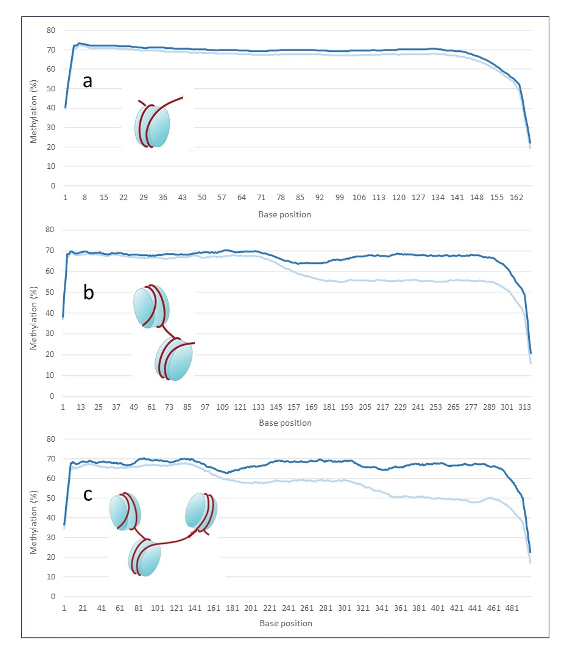 Figure 2 cfDNA knowhow