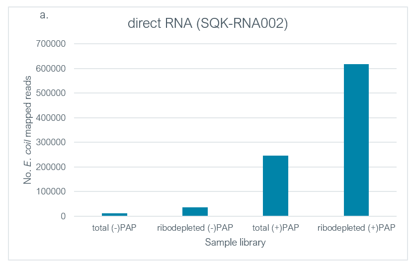 Figure 3a.  Number of mapped reads per species.  