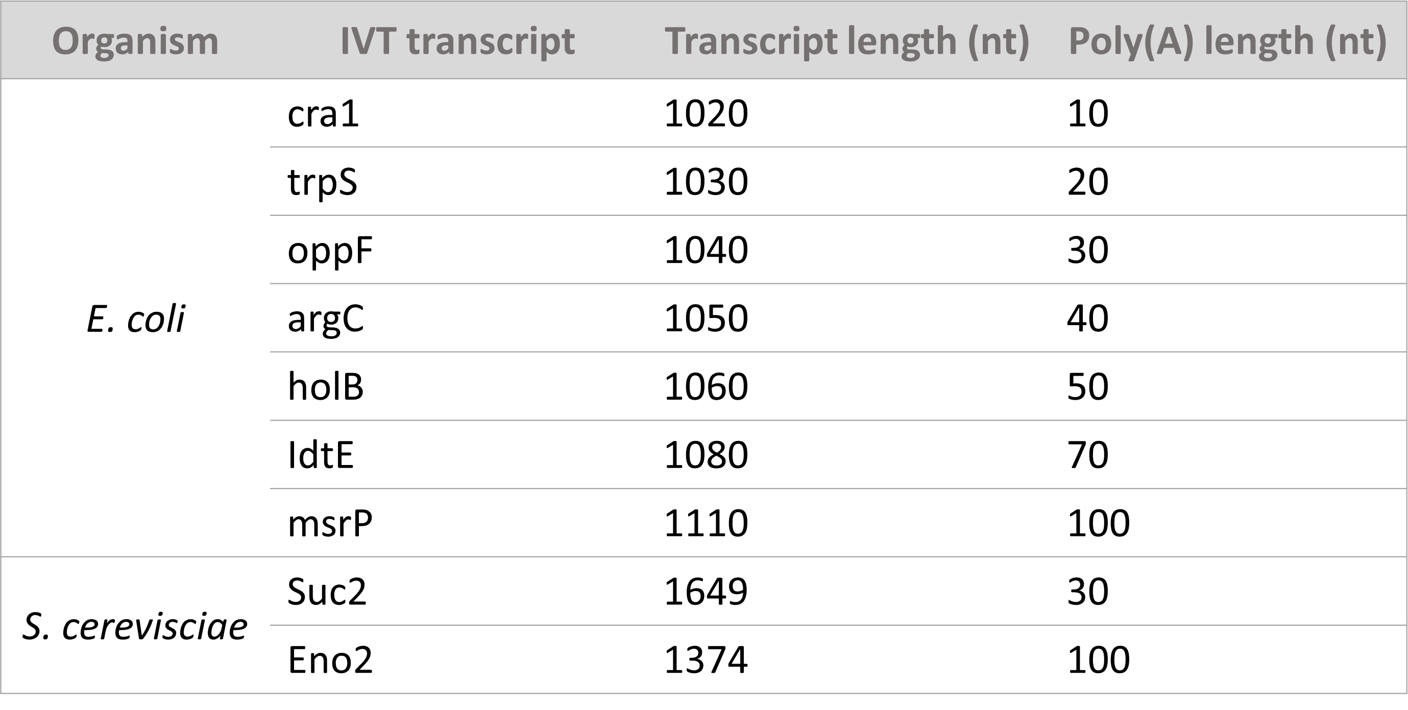 measuring polyA length table