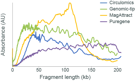 Gram+ve fragments