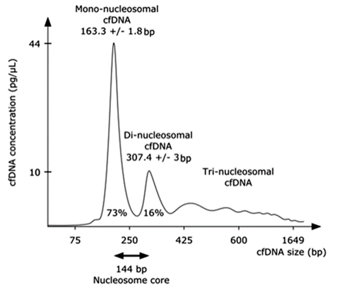 cfDNA long lib optimisiation 1