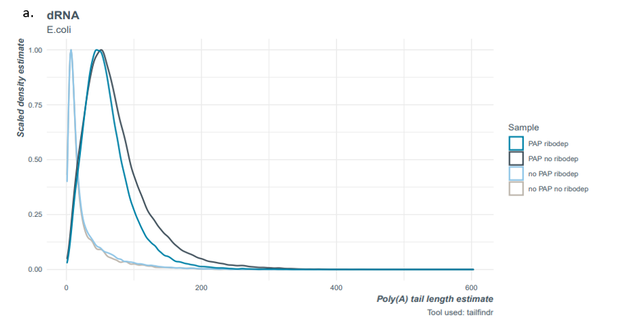 Figure 4a. Poly(A) tail length estimation.