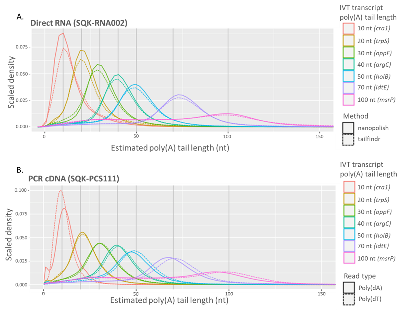 Measuring poly(a) tails image 1