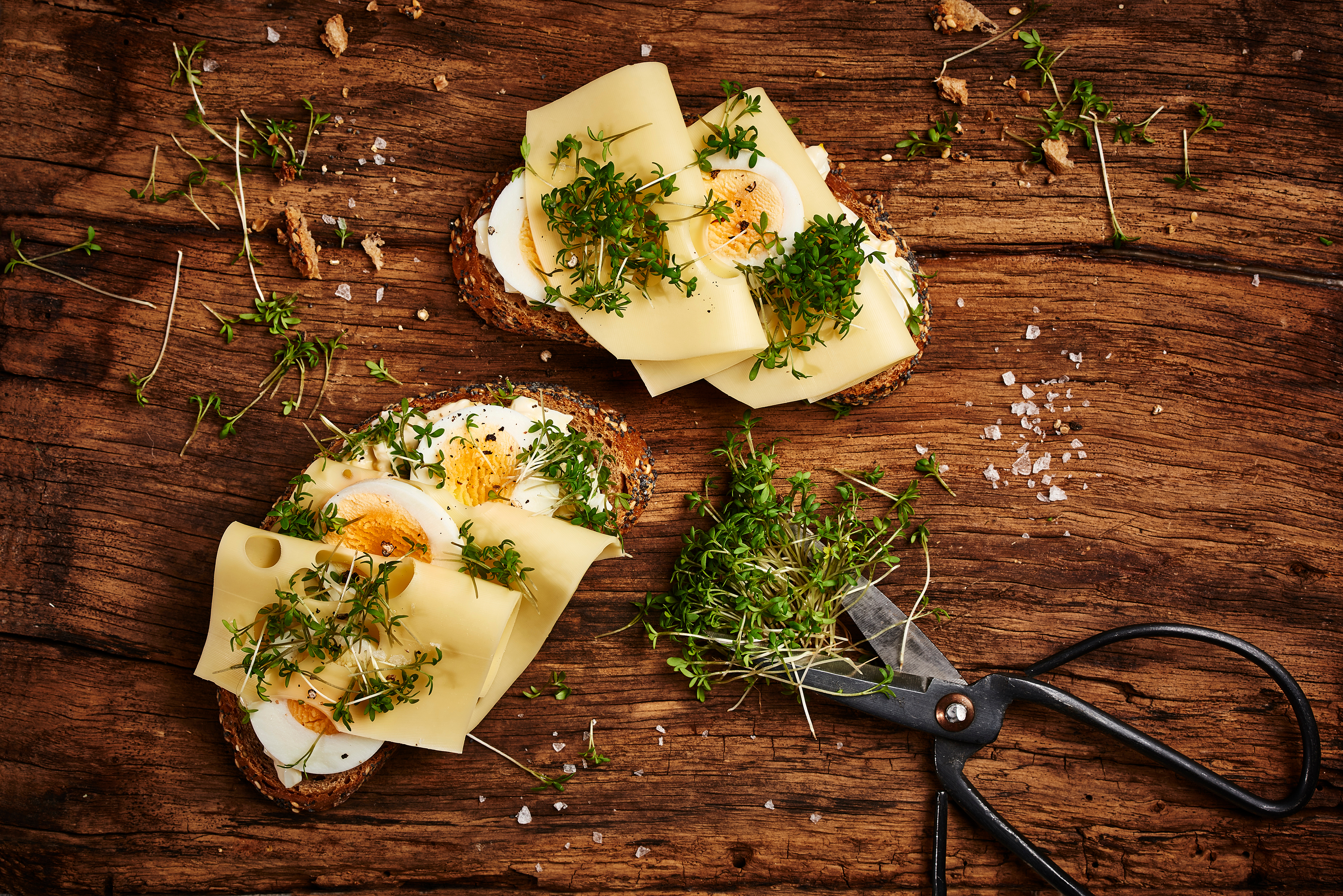 Käsebrot mit Ei und Kresse