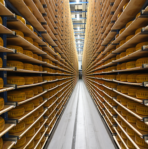 Sustainability Nous utilisons uniquement du bois issu de la sylviculture durable