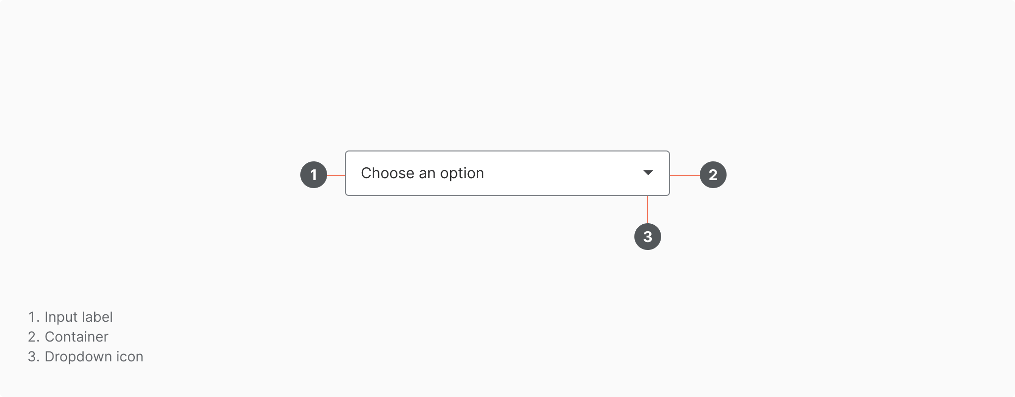 Select Anatomy
