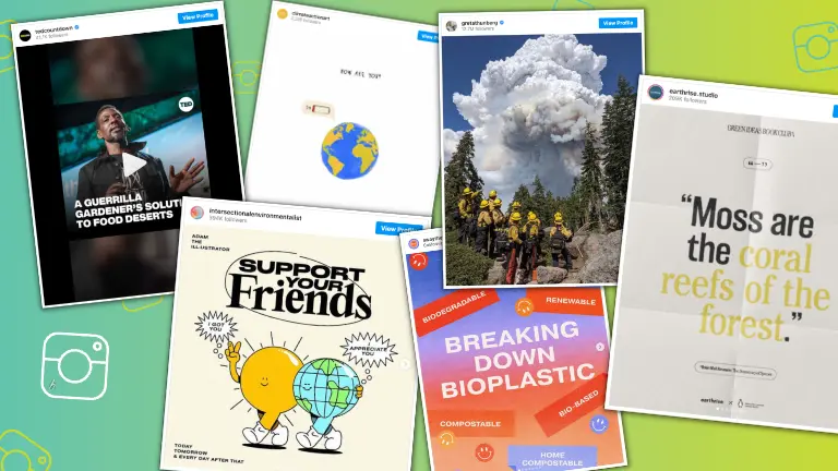 Educational Climate Action Accounts on Instagram